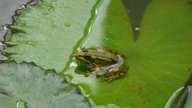 DSC00157.JPG